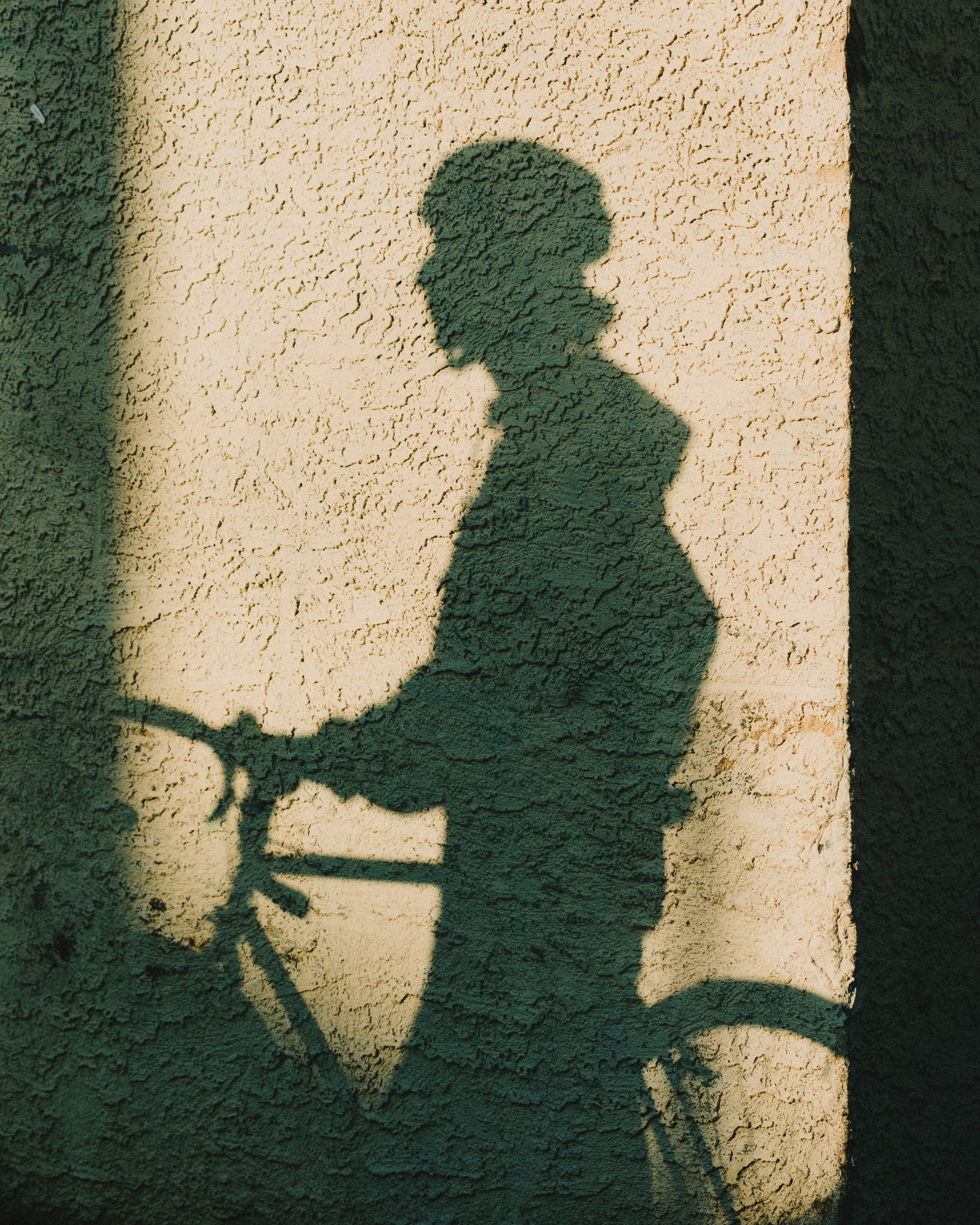 Shadow of a cyclist walking their bike near Sunset Blvd. and Vin Scully Ave.